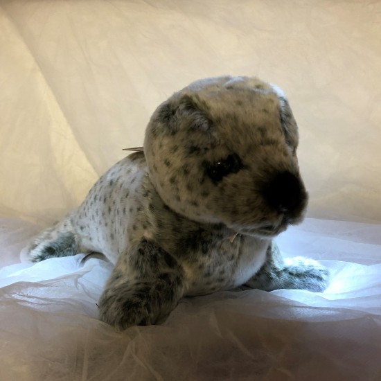 2 for £35 Grey seal